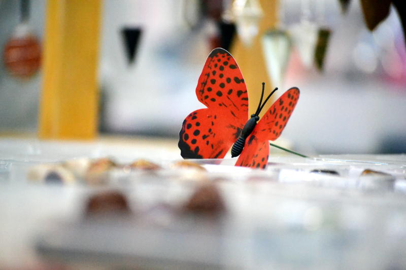 2016_stirchley_market_october_julies_rainbow_reiki_butterfly_800