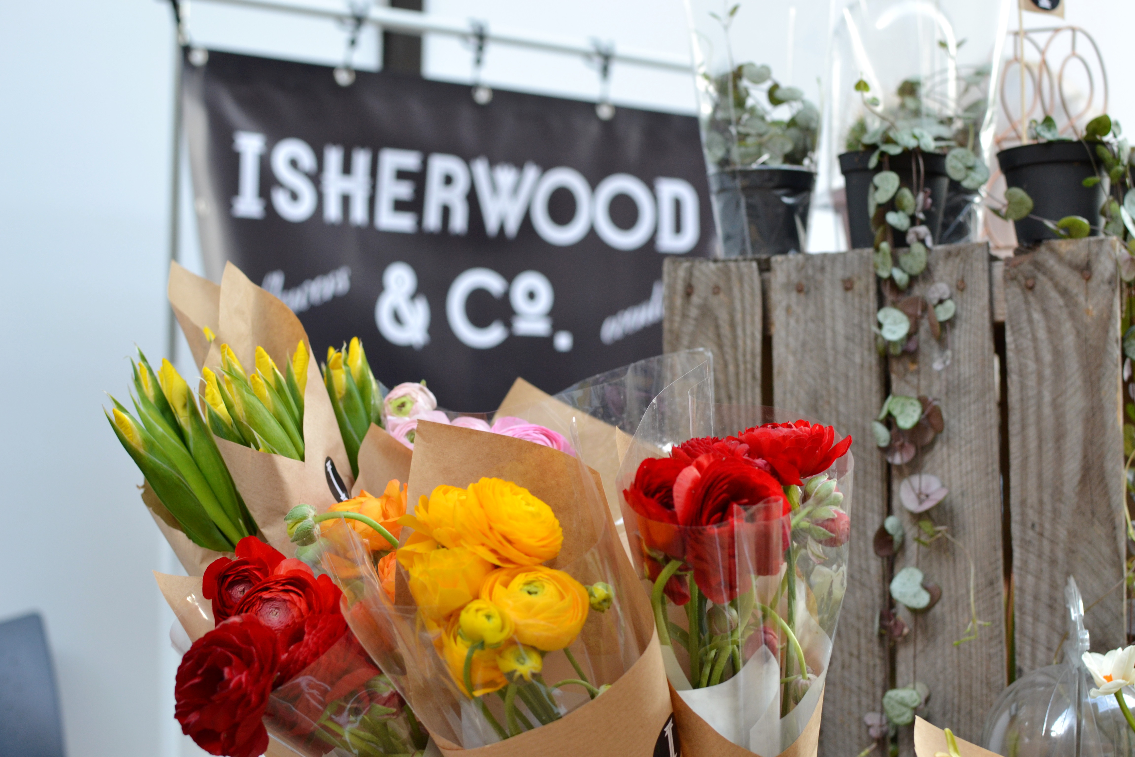 Isherwood & Co. flowers and plants