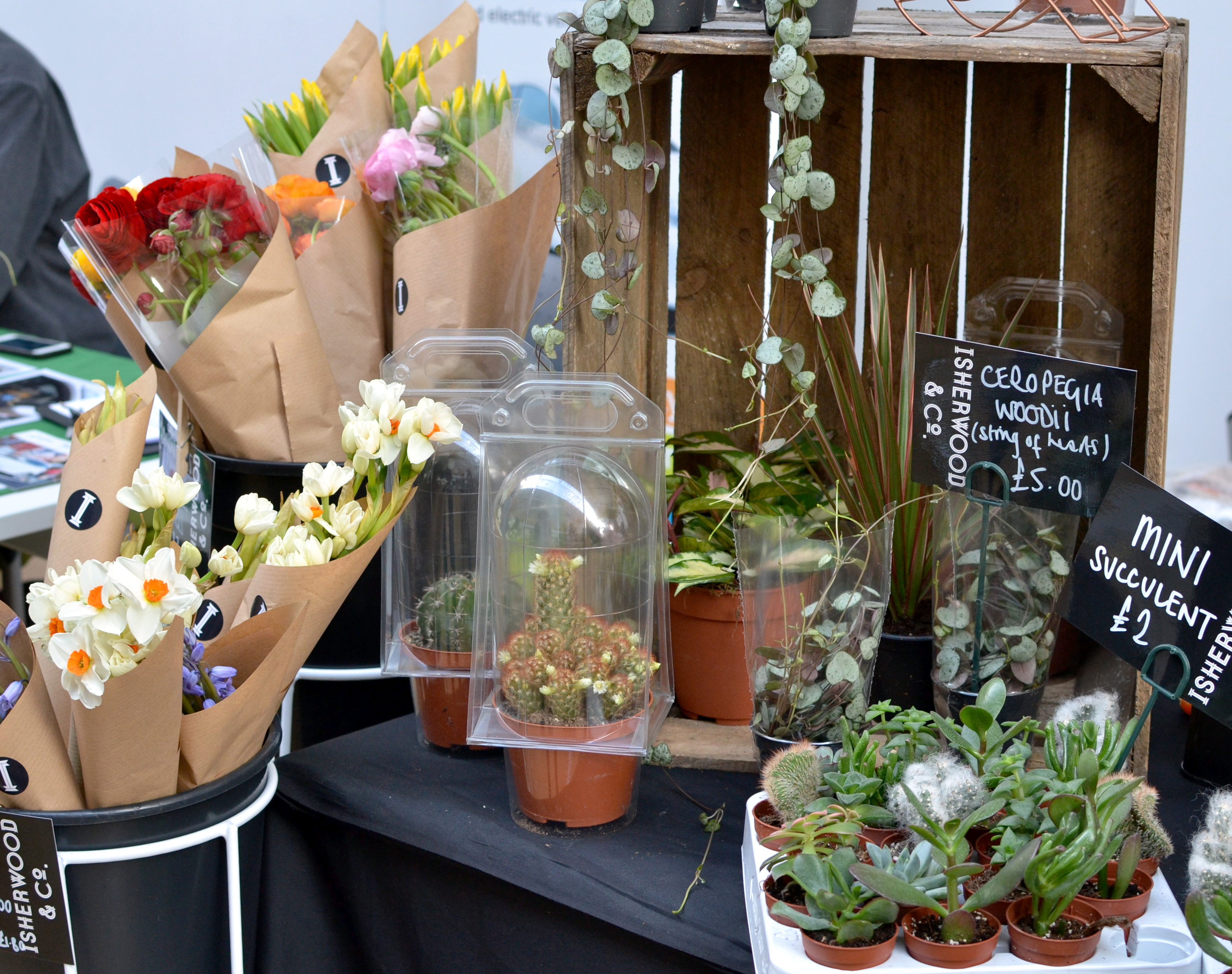 Isherwood & Co. flowers and plants
