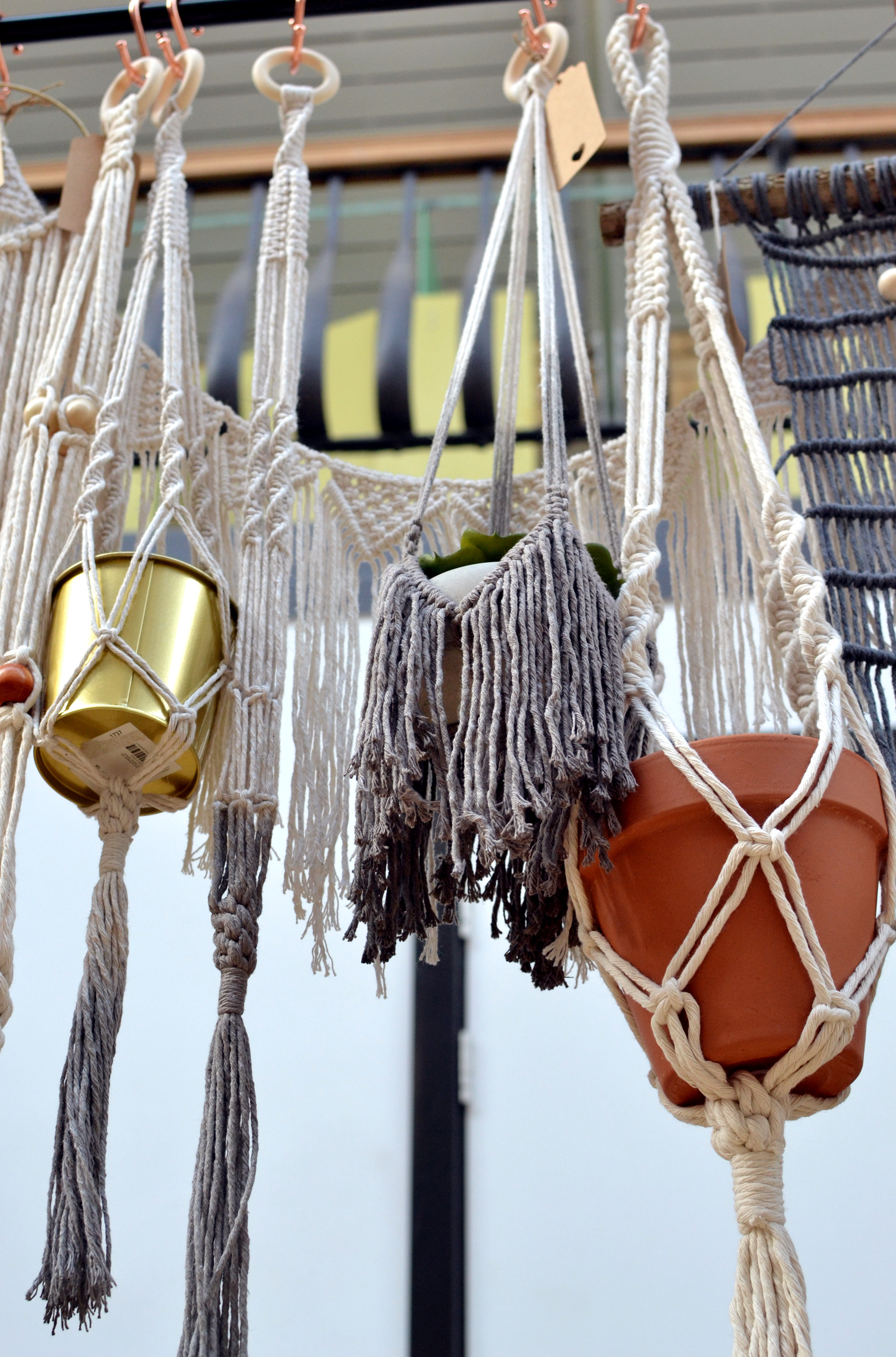 Various pots in macramé hangings
